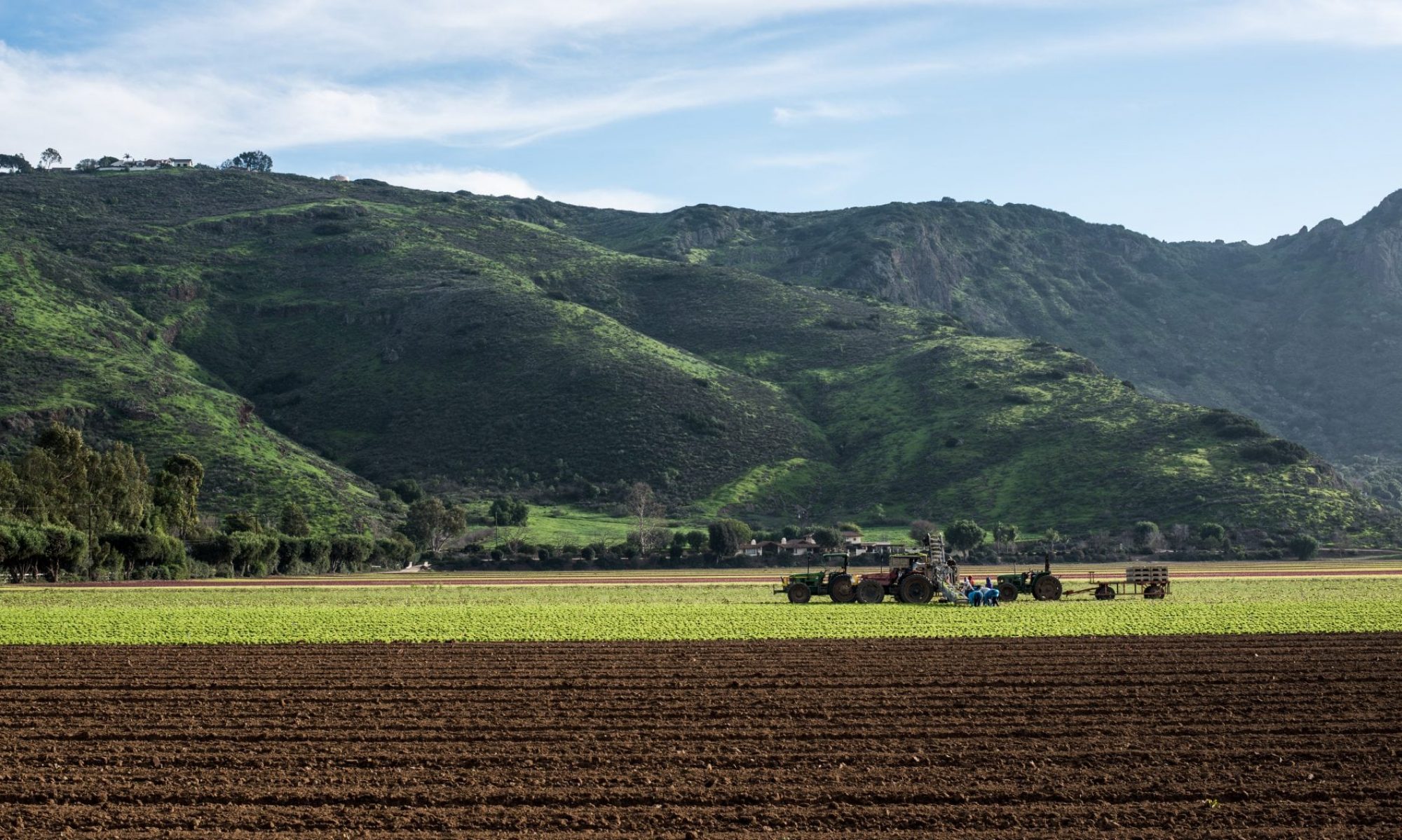 Santa Rosa Valley Farmers Market